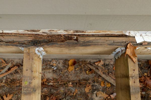 Yuma Wood Rot Repair